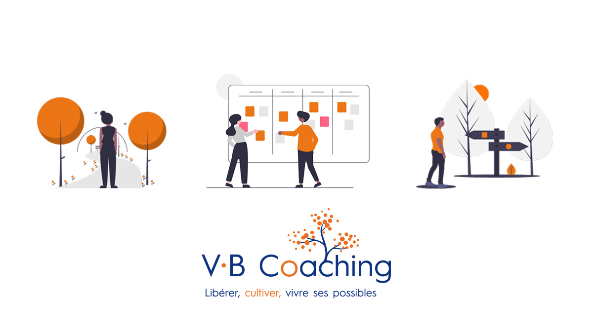 V.B Coaching