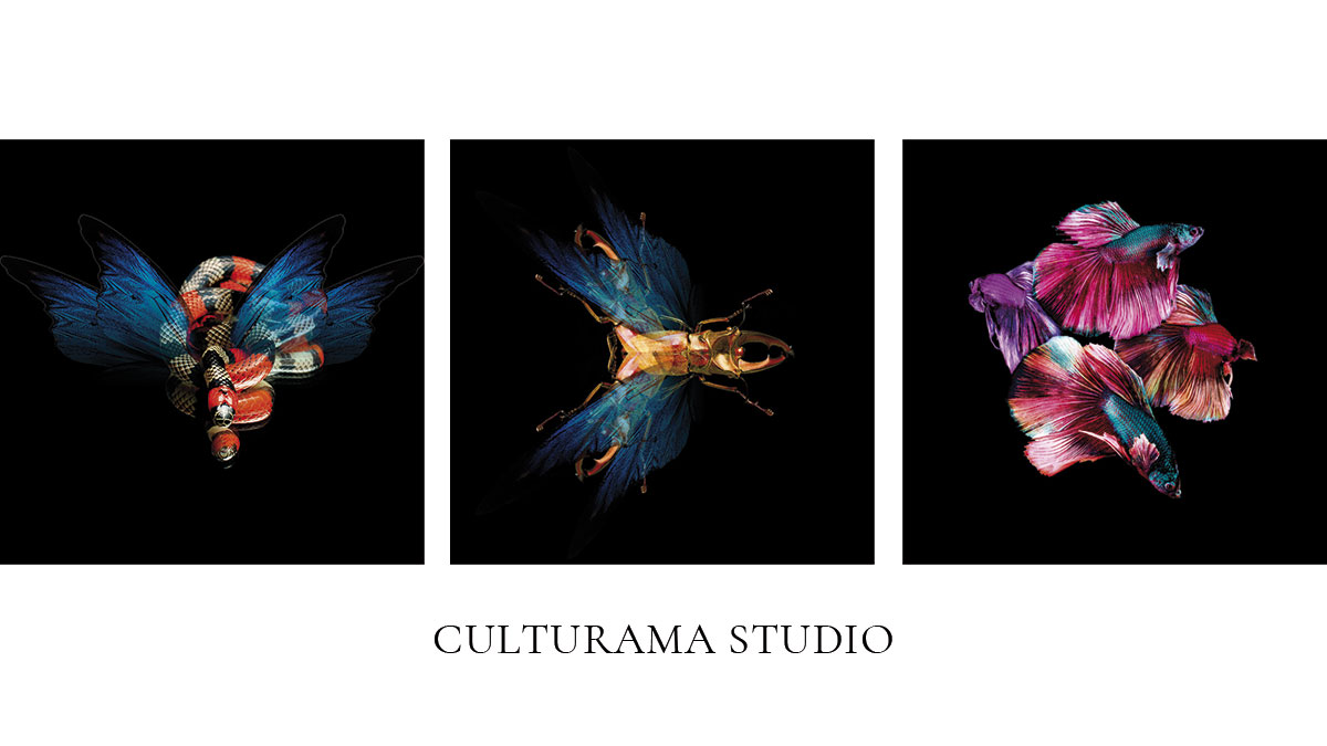 Thierry Lo Shung Line Résonance graphique Paris | Design graphique et Création